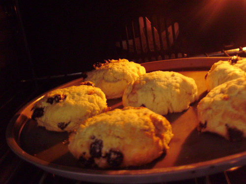 Scones 002 by you.