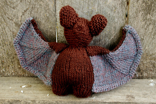 Brown Bat 3