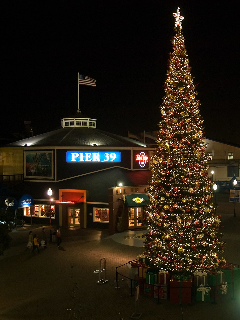Pier 39 Holiday Tree