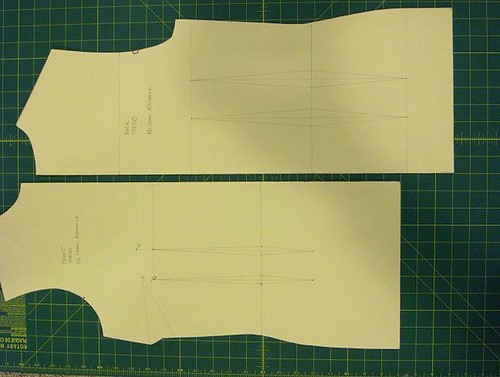 Front and Back Torso