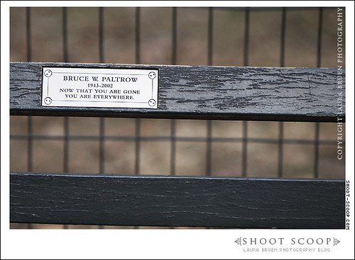 bruce paltrow. Bruce Paltrow#39;s Memorial Bench, Central Park, NYC