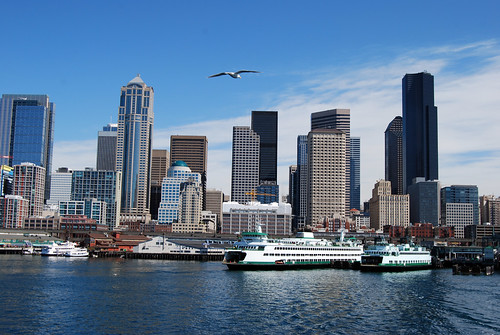12-Seattle Downtown Ferries Bird