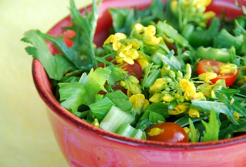 spicy mizuna and broccoli flower salad