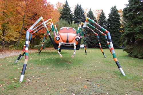 Pennsylvania Yard Spider.