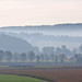 Amish Foggy Landscape