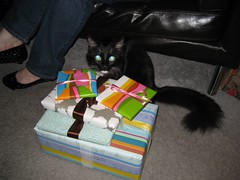 Nigella thinks the gifts are for her. (02/09/2008)