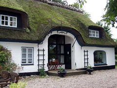 Haus mit Rietdach