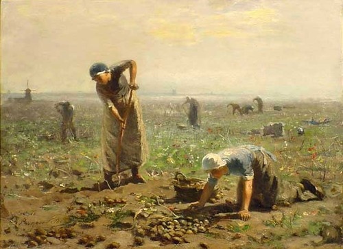 "Workers in the Fields With Tulips"