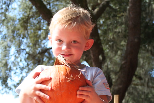Noah picking our pumpkin