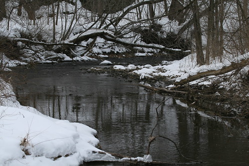 Creek at Rock Cut State Park