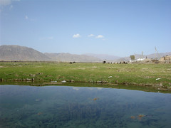 freshwater spring, just north of Kochkor
