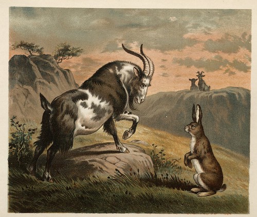 Ballad of the Lost Hare 2-1882