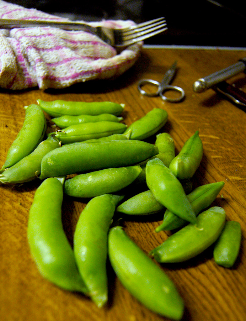 Home grown sugar snap peas from my back yard