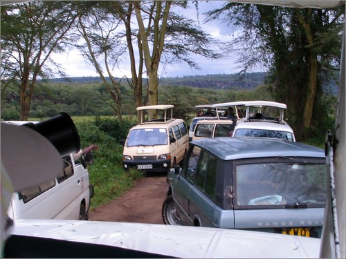 你拍攝的 68 Lake Nakuru。