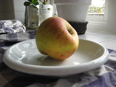 foraged apple