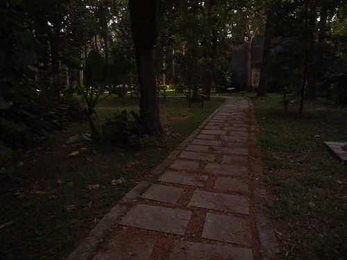 你拍攝的 7昏暗的園區。