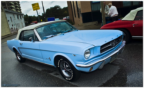 Baby Blue Mustang