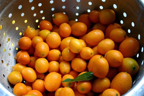 washing kumquats