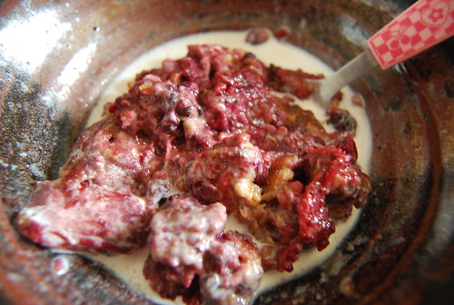 Blueberry rhubarb crumble with milk
