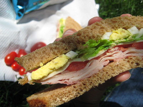 Sandwich in Millenium Park