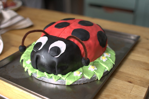 Karen's ladybird cake