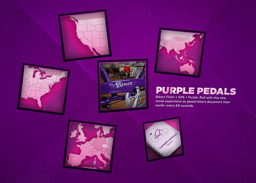 [purple-pedals.jpg]