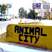 :: animal city :: by :: stinkfish ::