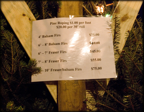 tree-prices