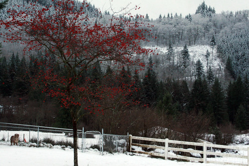snow_landscape