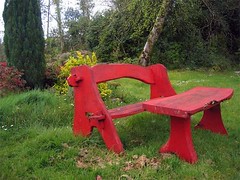 seat in forest