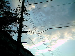 【写真】VQ3007で撮影した朝の風景（朝焼けの空と電灯）