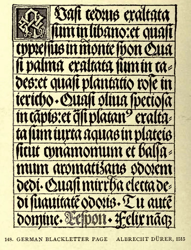 12- Escritura gotica alemana en negritas de Durero 1515
