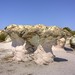 Каменни гъби