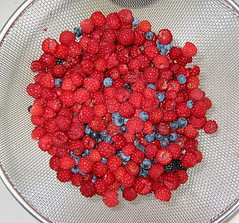 Raspberries & Blueberries 03