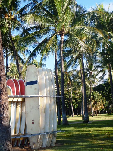 Surfboards and Palm trees