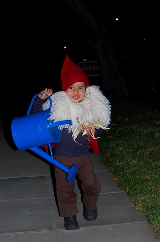 Trick or Treating Gnome!