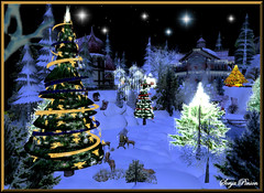 ***** Christmas Lights ***** by sonja_pinion