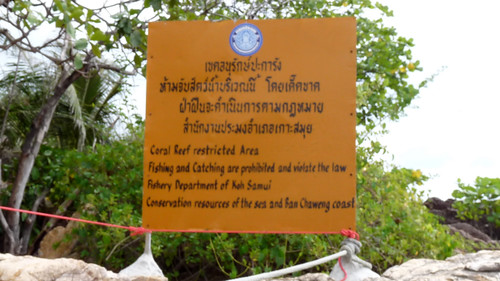 Koh Samui Chaweng Noi Beach コサムイ チャウエンノイビーチ1