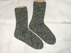 evergreen sheepaints socks