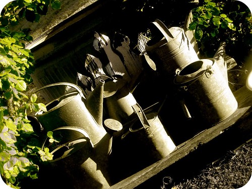 watering cans by cra612.
