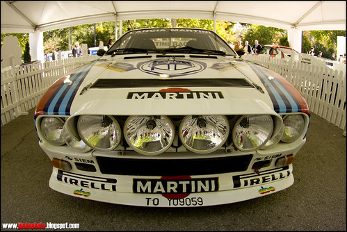 Lancia Rallye 037 Martini (by Jimbo pht)
