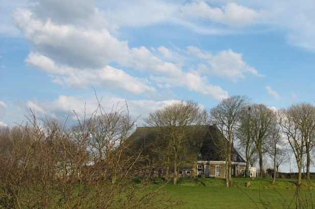 Frisian farm