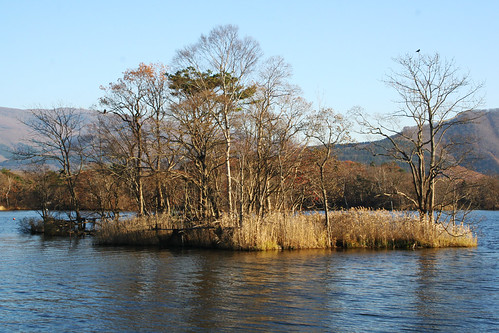 你拍攝的 北海道大沼澤。