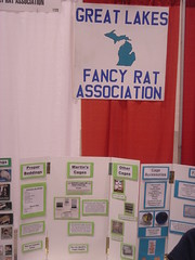 Fancy Rat Association