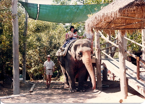 San Diego Wild Animal Park - 1978