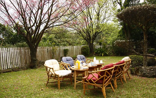 櫻花樹下的早餐