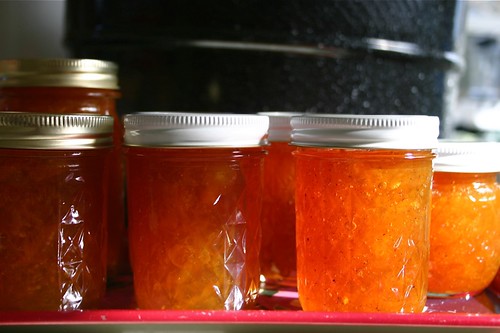 processed jars of kumquat marmalade