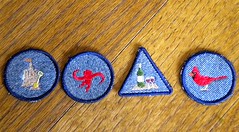badges  IC 26  Camp Craft
