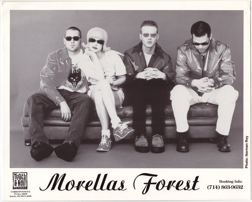 Morella's Forest