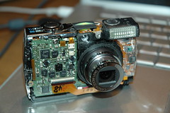 Naked Canon PowerShot SD800 IS